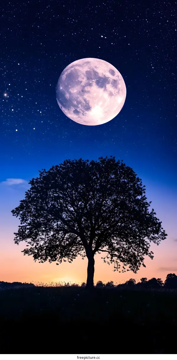 Silhouette of Tree Under the Full Moon