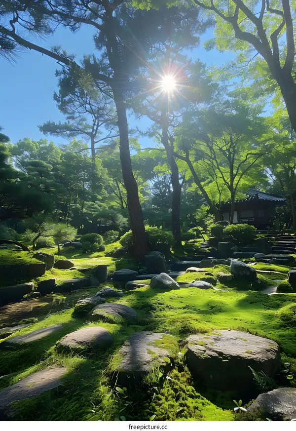 A photo of a Zen garden with a rock and tree