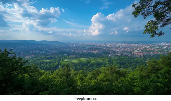 Panoramic Cityscape View from Hilltop