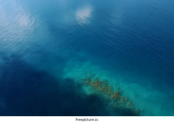 High Angle View of the Ocean Water
