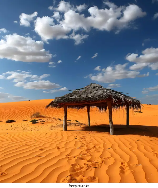 Thatched Hut in a Sea of Orange Sand Dunes
