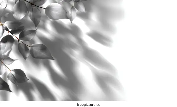 Elegant Shadow Play of Leaves on White Background