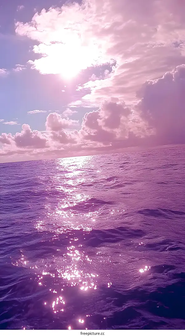 Purple Ocean Sky Sunset
