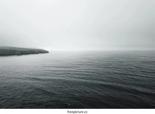 Foggy Coastline in Black and White