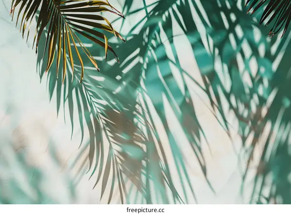 Palm Tree Leaf Shadow On Green Wall