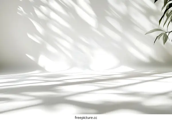 Elegant White Minimalist Studio Background with Shadow Play