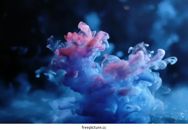 Abstract Colorful Ink Splash Art