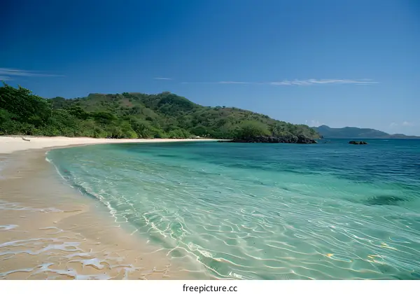 Tranquil Tropical Beach with Crystal Clear Water