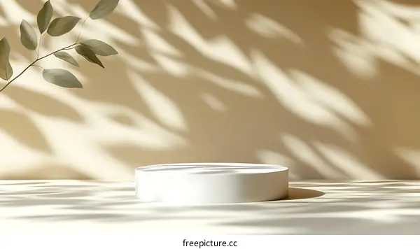 Modern Minimalist Product Display Background with Natural Shadows