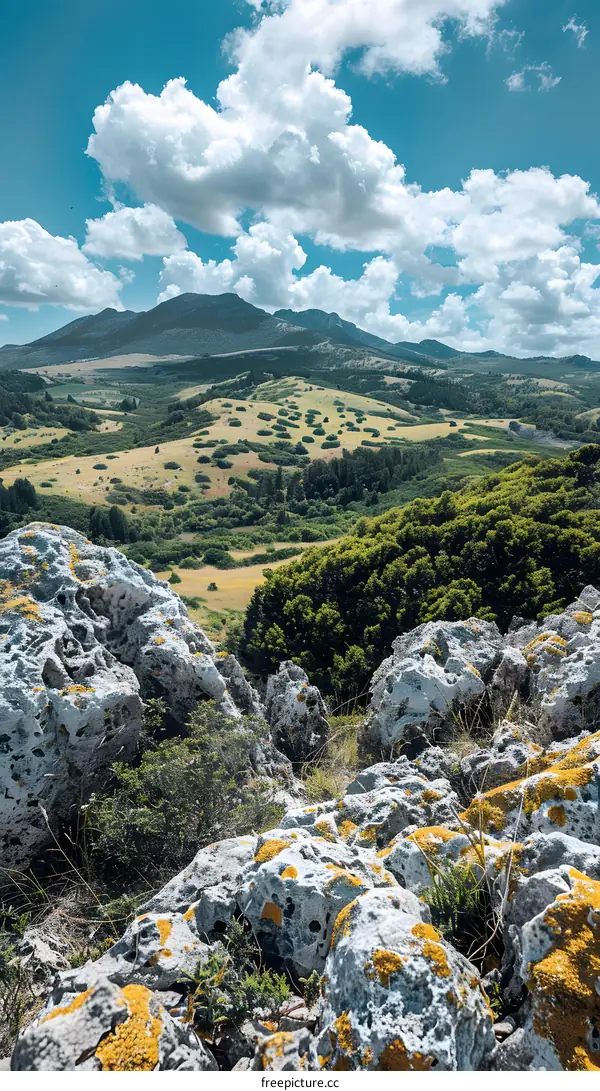 Rocky Mountain Landscape With Lush Green Vegetation And A Blue Sky