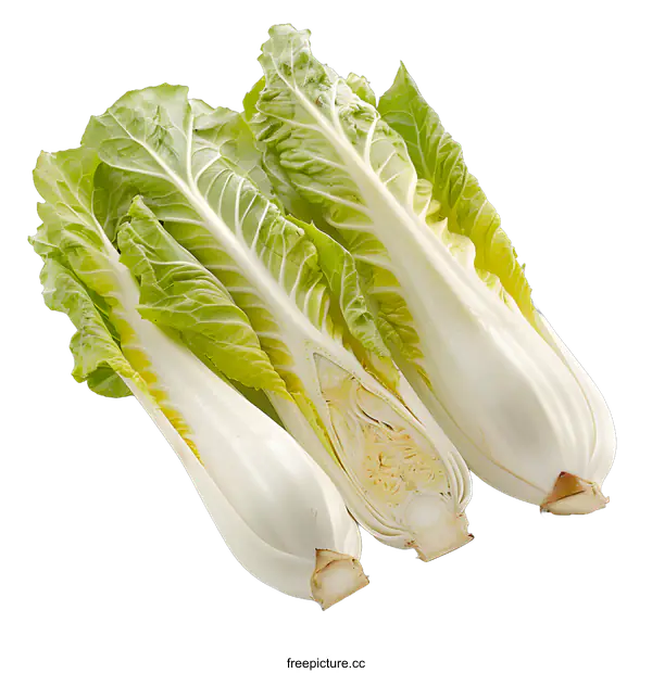 [Transparent Background PNG]Fresh white cabbages on white background