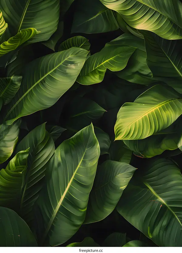 Green Tropical Leaves Pattern Texture