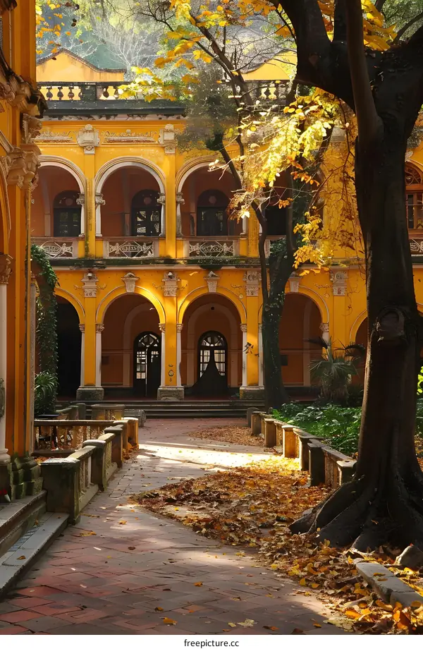 Golden Autumn Courtyard