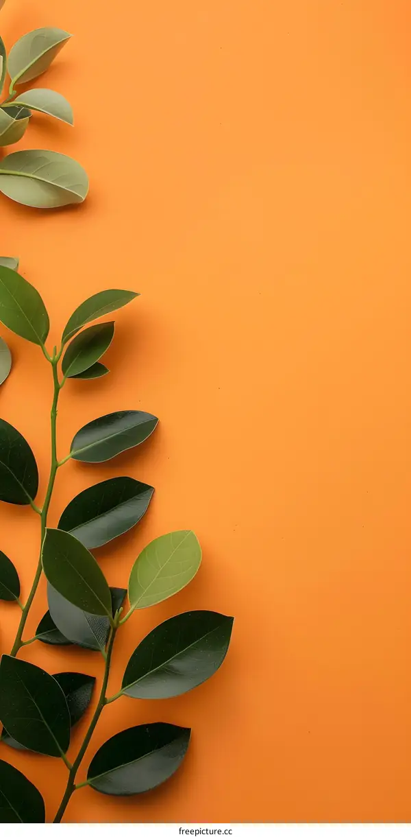 Green Leaves on Orange Background