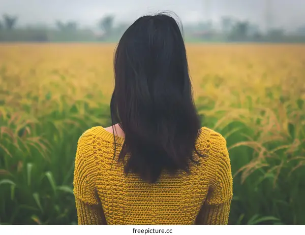 Woman in Yellow Sweater Standing in Field