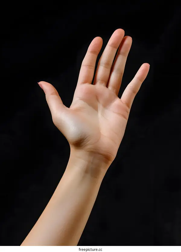 hand raised to take an oath