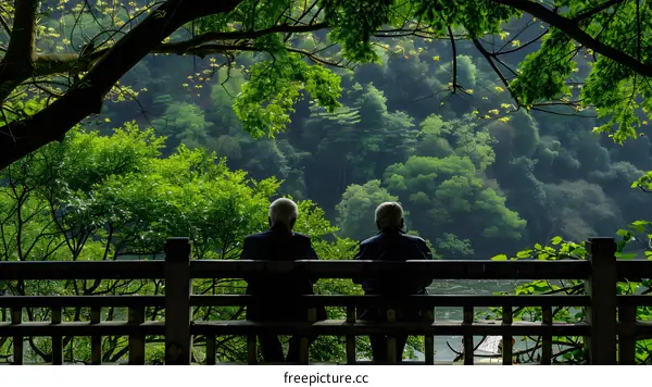 Two Elderly Men Sitting On Bench Looking At Green Mountain View