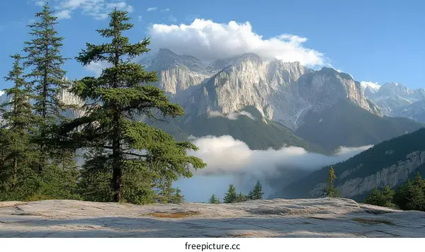 Majestic Mountain Range with Lush Pine Trees