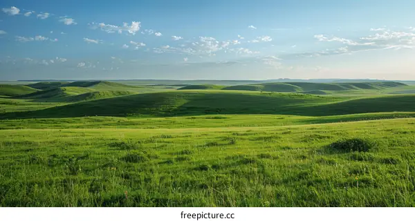 Vast Rolling Hills under a Wide Sky