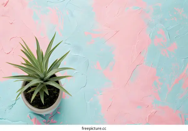 Green Plant in a Pot on a Pink and Blue Textured Background
