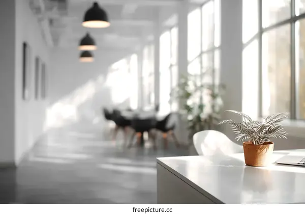 Modern Office Space Interior with Natural Light