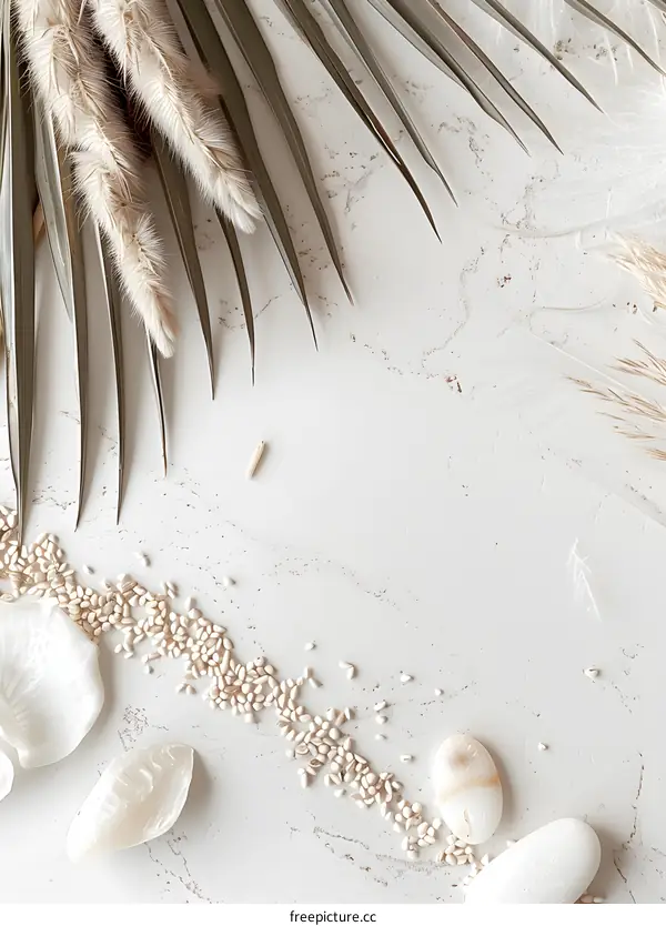 Minimalist White Marble Background with Palm Leaves and Dried Flowers