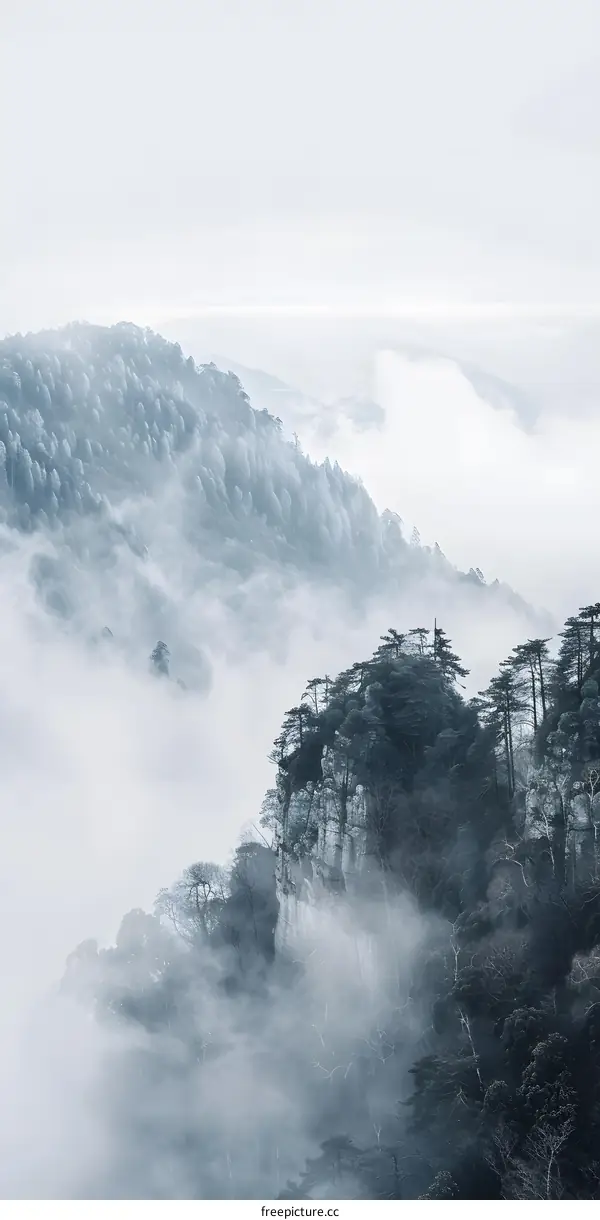 Misty Mountain Landscape With Trees And Fog