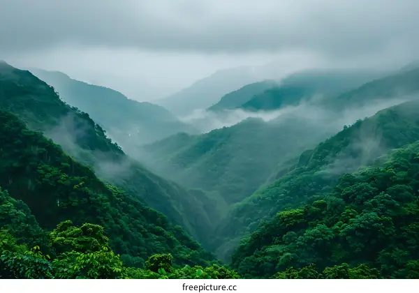 Green Mountain Range with Fog