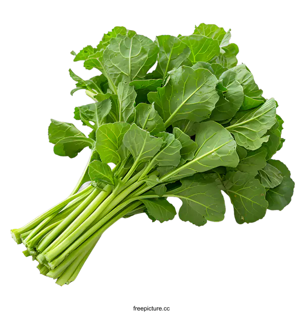 [Transparent Background PNG]A bunch of green leafy vegetables