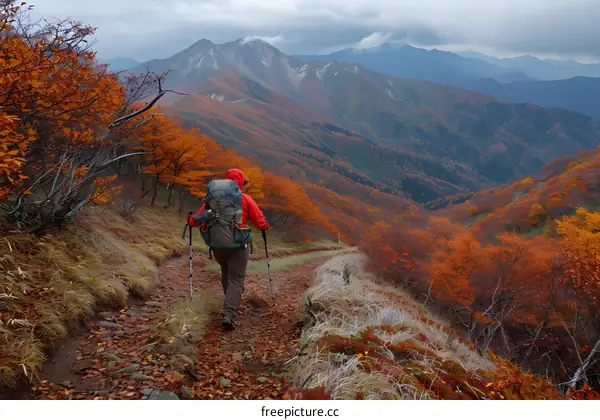 Hiking through the Autumn Mountains