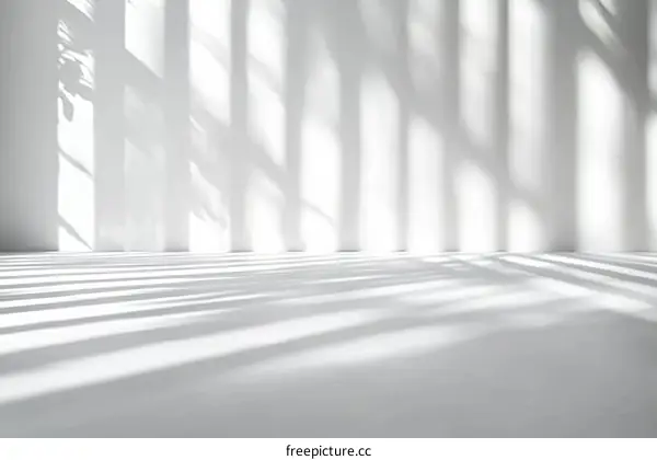 White Empty Room with Sunlight Shadows