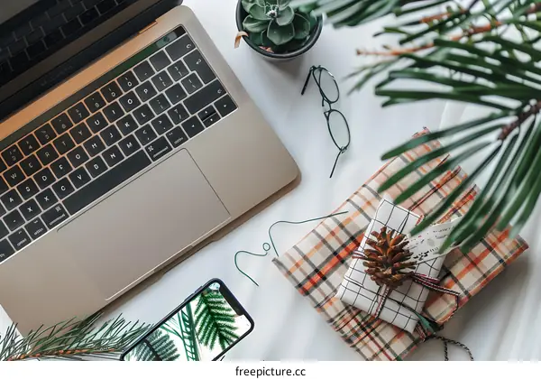 Flat Lay with Laptop, Gifts, and Plants