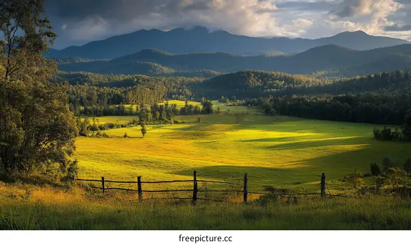 Rural Landscape with Golden Field and Mountains