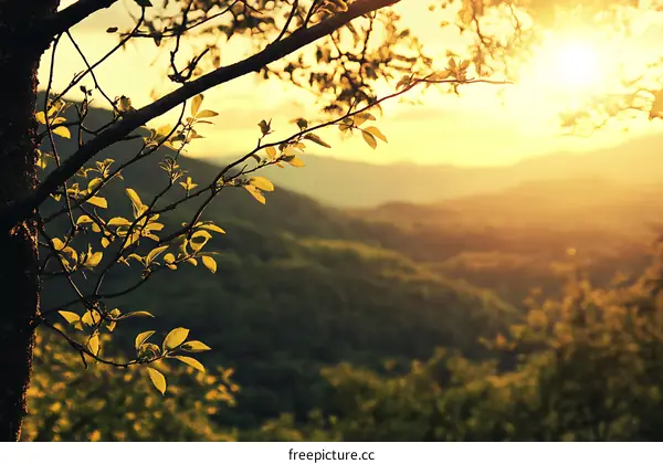 Golden Hour Sunset Over Lush Green Mountains