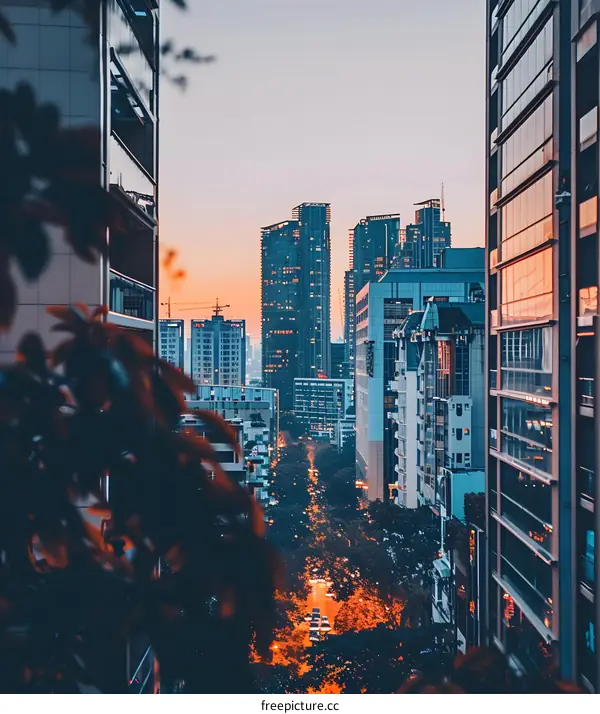 Sunset View of Skyscrapers in City