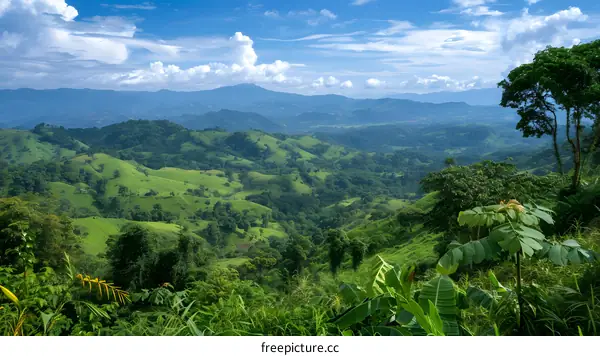 A lush green landscape with rolling hills and a blue sky