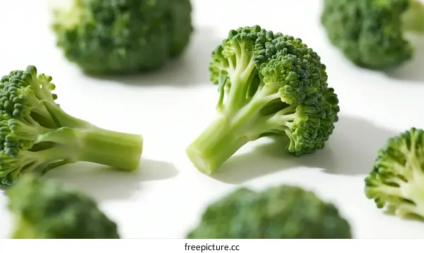 Fresh Broccoli Florets Arranged on White Background