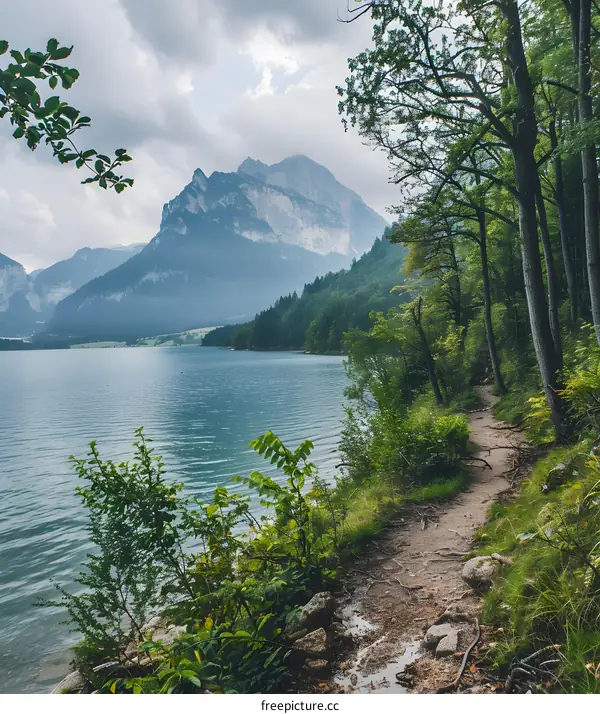 Mountain Lake Pathway Through Lush Forest