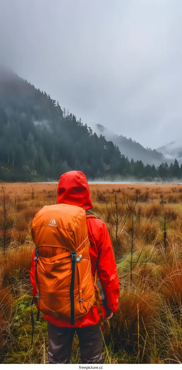 Person Hiking Through Foggy Forest