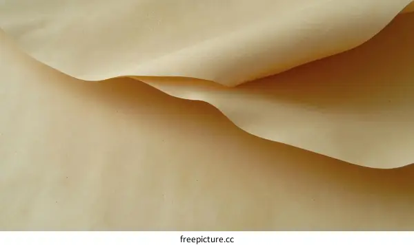 Creamy Beige Fabric Texture Close-up