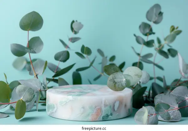 Natural Beauty Product Display with Marble Podium and Eucalyptus Leaves