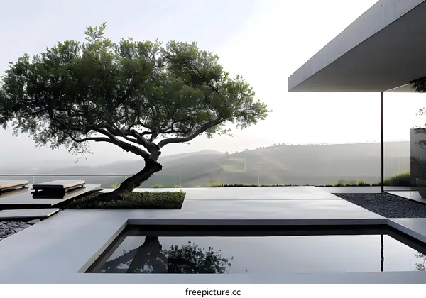 Modern Minimalist Patio with Pool and Tree