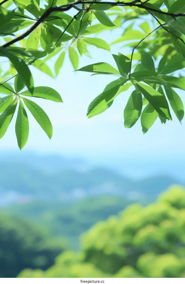 Green leaves of a tree with a blurred background of a mountain range