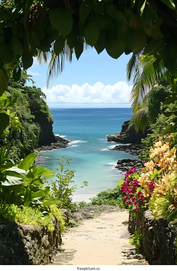 Tropical Beach Pathway View Through Lush Greenery