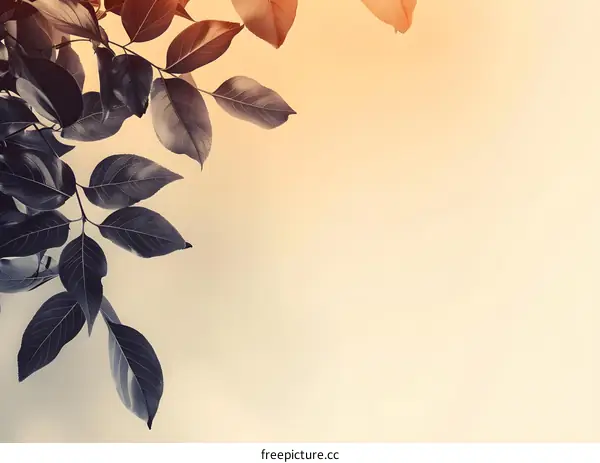 Leaves Branch Abstract Autumn Background
