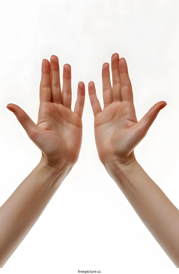 A pair of hands with the palms facing upwards