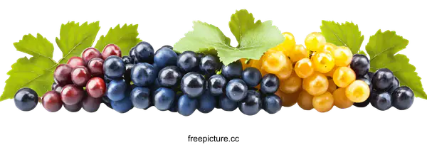 [Transparent Background PNG]Assortment of Colorful Grapes with Green Leaves