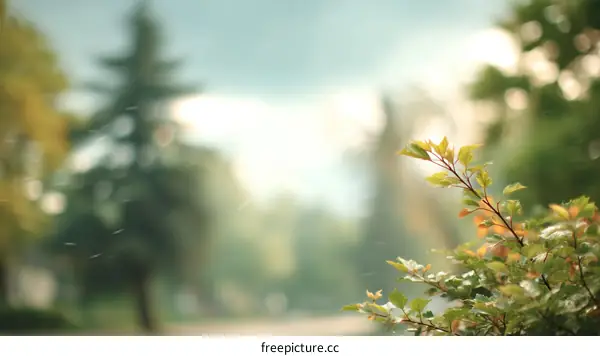 Blurred Outdoor Nature Scene with Fresh Leaves