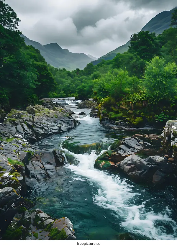 Flowing River Through Lush Green Valley