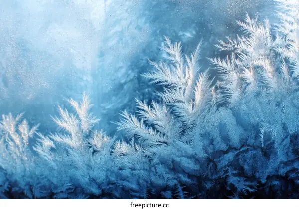 Winter Frost Patterns on a Window